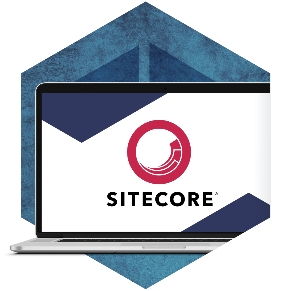 Sitecore Development Services